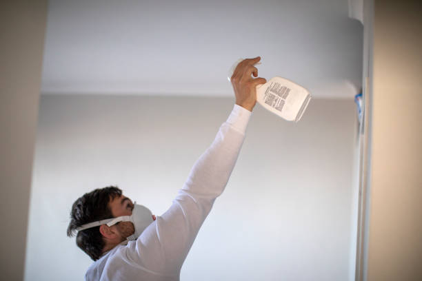 Best Attic Mold Removal  in La Vernia, TX