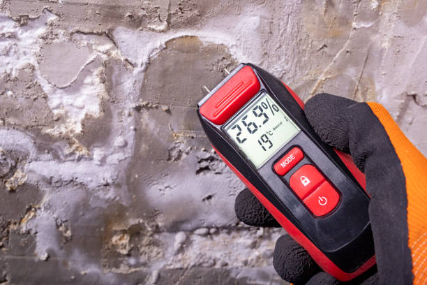 Best Mold Cleaning Services  in La Vernia, TX