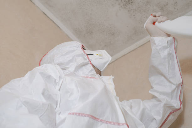 Best Certified Mold Removal  in La Vernia, TX