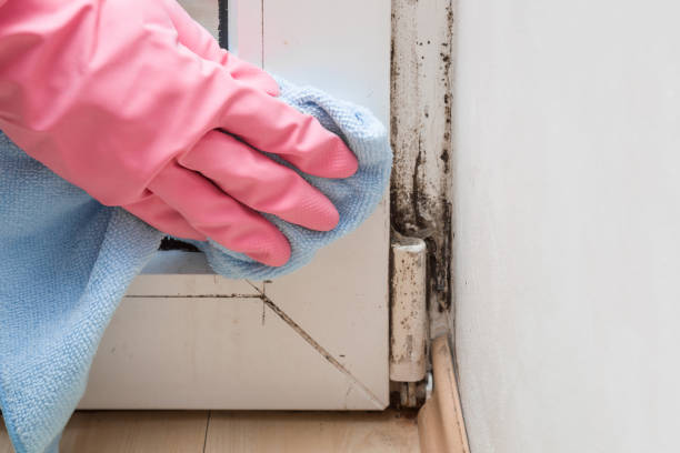 Water Damage Restoration in La Vernia, TX